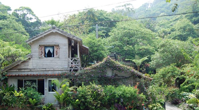 Yachimun Café l Okinawa Hai!