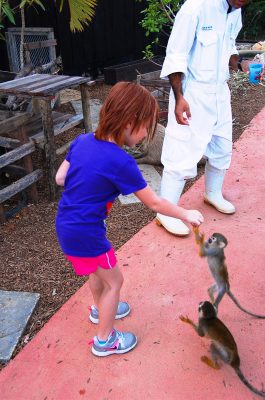 Exotic Petting Zoo l Okinawa Hai!