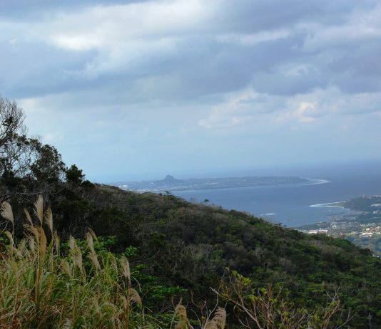 Mount Yaedake and Sakura no Mori Park l Okinawa Hai!