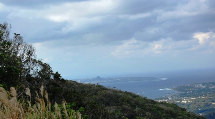 Mount Yaedake and Sakura no Mori Park l Okinawa Hai!