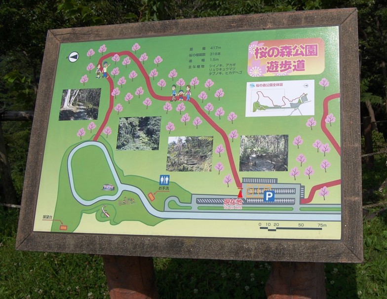 Mount Yaedake and Sakura no Mori Park l Okinawa Hai!