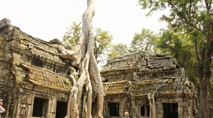 Cambodia & Vietnam l Okinawa Hai!