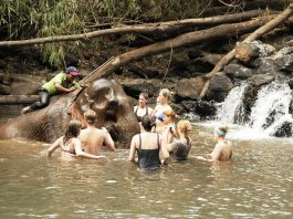 Cambodia & Vietnam l Okinawa Hai!