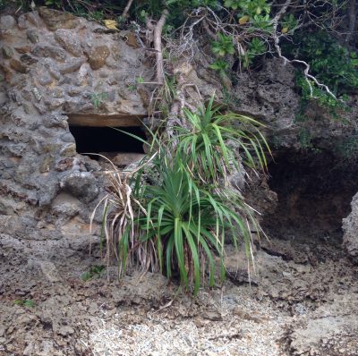 Surf Side Bed & Breakfast l Okinawa Hai!