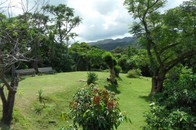 Forest Villa l Okinawa Hai!