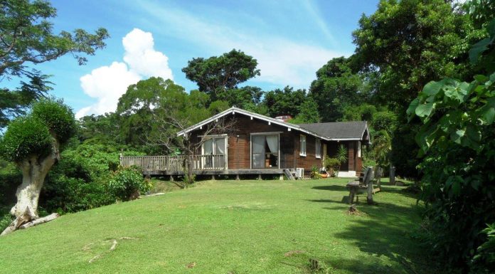 Forest Villa l Okinawa Hai!