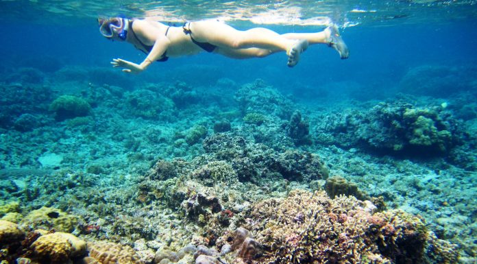Adaga Island l Okinawa Hai!