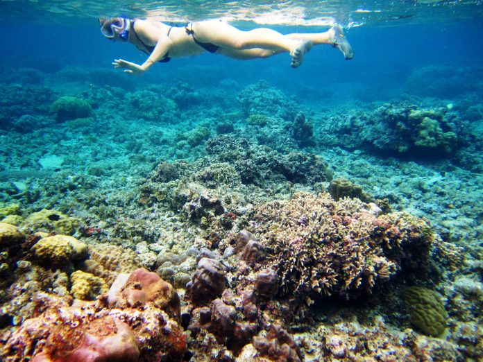 Adaga Island l Okinawa Hai!