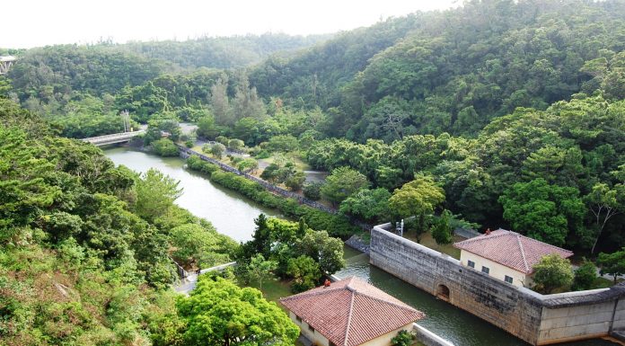Kanna Dam Park l Okinawa Hai!