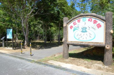 Kanna Dam Park l Okinawa Hai!