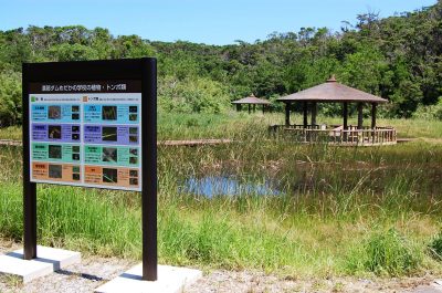 Kanna Dam Park l Okinawa Hai!