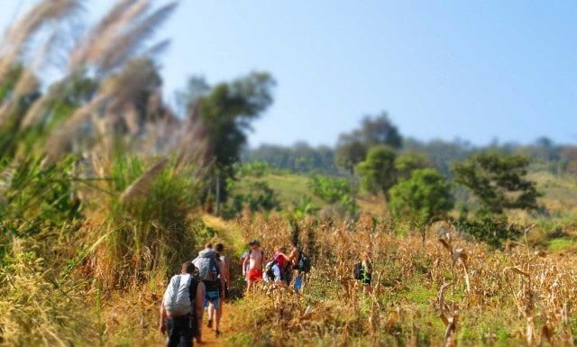 Trekking in Chiang Mai l Okinawa Hai!