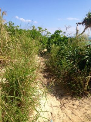 Uken Beach l Okinawa Hai!