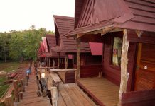 Tree Lodge - Mondulkiri, Cambodia l Okinawa Hai!
