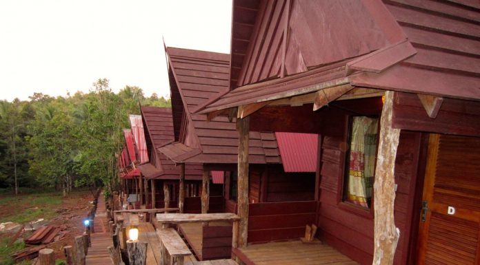 Tree Lodge - Mondulkiri, Cambodia l Okinawa Hai!