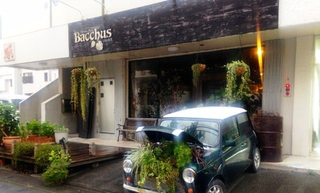 Bacchus Flower Shop l Okinawa Hai!