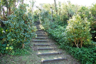 Igimihakinzo Park | Okinawa Hai!