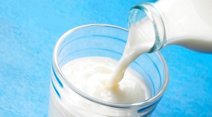 Buying Milk in Okinawa | Okinawa Hai!