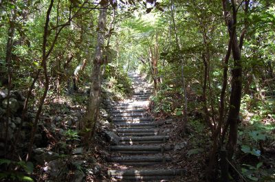 Yamashishigaki Mutayama Trail | Okinawa Hai!