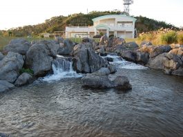 Taiho Dam Park | Okinawa Hai