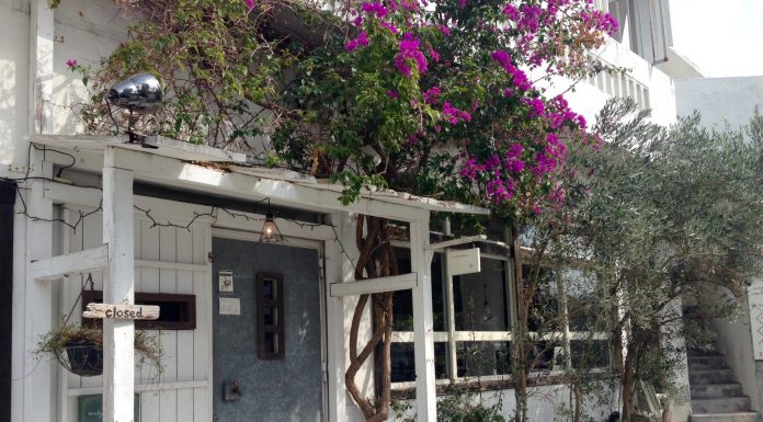 Cafe Mofgmona | Okinawa Hai!