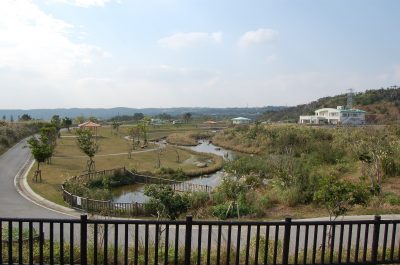 Taiho Dam Park | Okinawa Hai