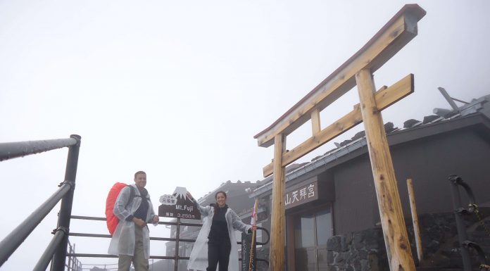 Mount Fuji | Okinawa Hai