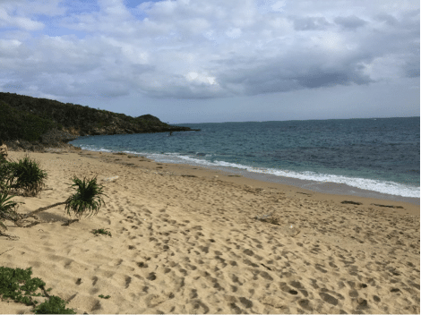 Hamahiga Island | Okinawa Hai