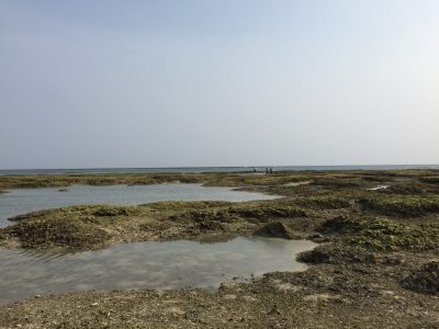 Mibaru Beach | Okinawa Hai