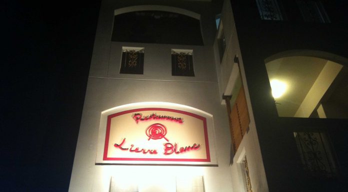 Lierre Blanc| Okinawa Hai