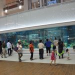 Aeon Mall Okinawa Rycom | Okinawa Hai