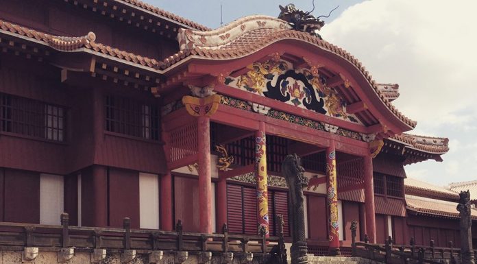Rebecca Cohen Yoga | Okinawa Hai