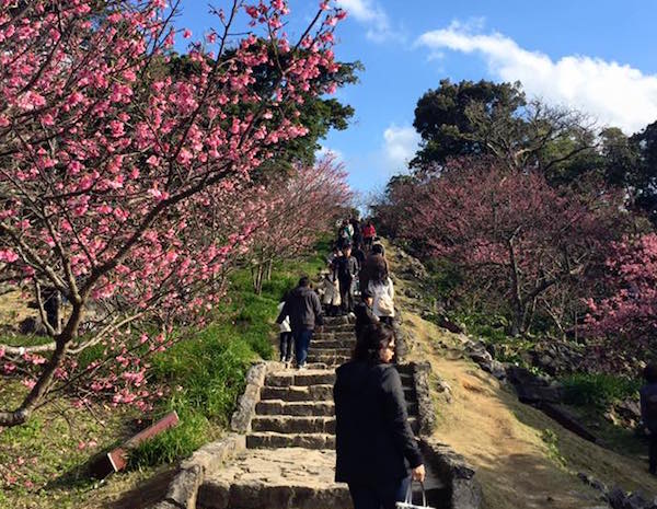  Nakijin castle