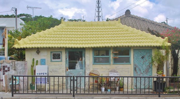 Shima Donuts | Okinawa Hai!