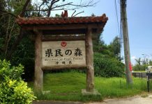 Forest of Residence Trail | Okinawa Hai!