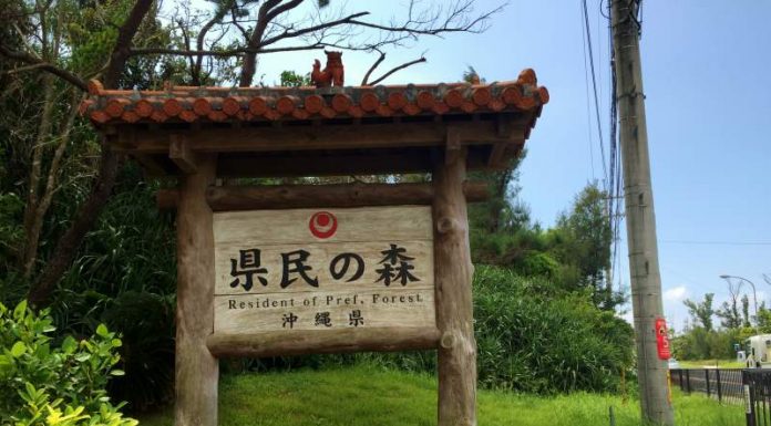 Forest of Residence Trail | Okinawa Hai!
