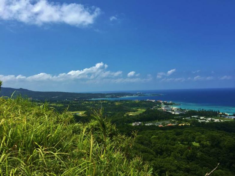 Forest of Residence Trail | Okinawa Hai! 