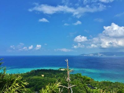 Forest of Residence Trail | Okinawa Hai!