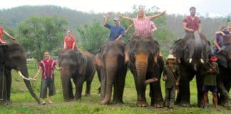Elephant Rescue in Chiang Mai | Okinawa Hai!