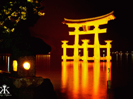 Floating Torri | Okinawa Hai