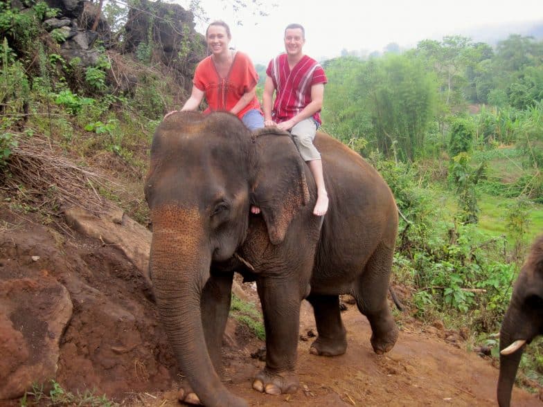 Elephant Rescue in Chiang Mai | Okinawa Hai! 