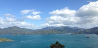 Cruising New Zealand and Australia | Okinawa Hai!