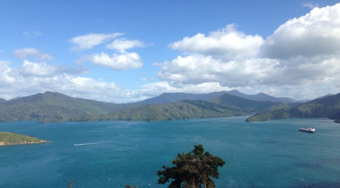 Cruising New Zealand and Australia | Okinawa Hai!