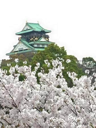 Osaka Castle 2