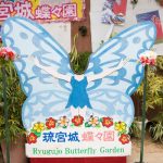 Ryugujo Butterfly Garden_-7
