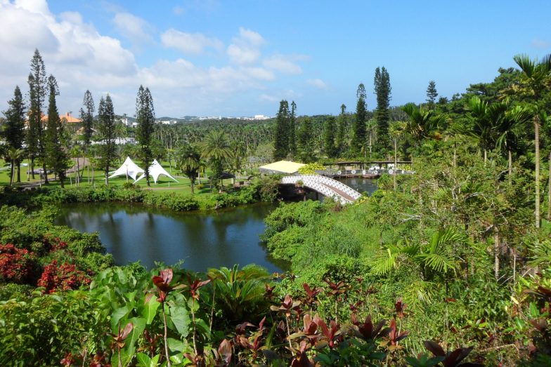 Jul local events with Okinawa Hai at Southeast Botanical Garden 