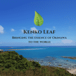 Kenko Leaf (1)
