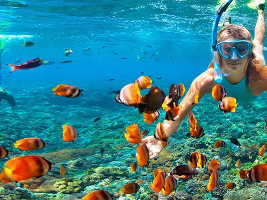 Snorkeling with beautiful fish in Hawaii